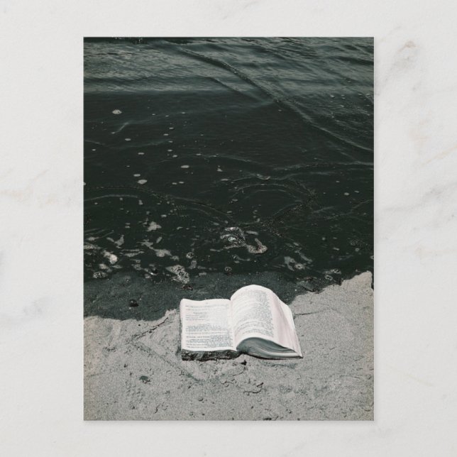 Postal La lectura perfecta de la playa (Anverso)