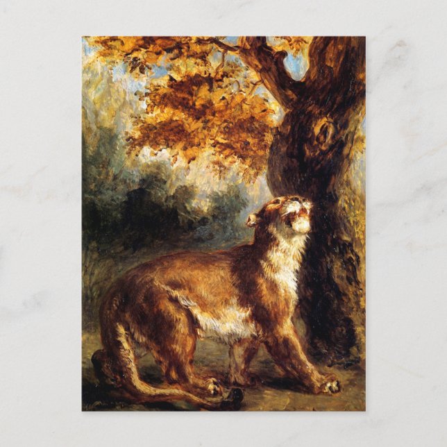 Postal La leona que la acalora (Anverso)