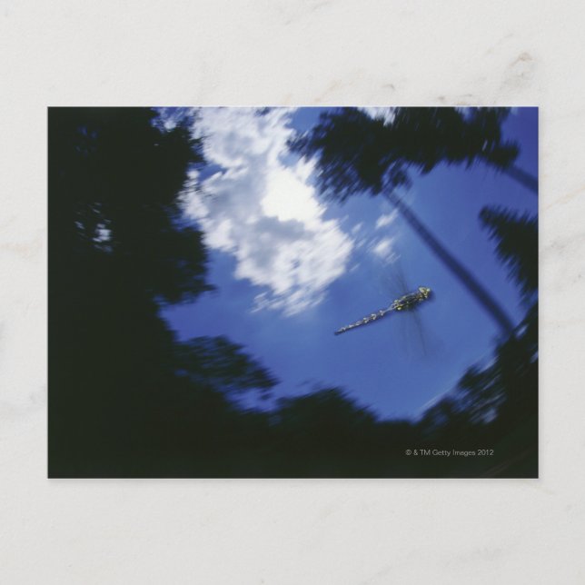 Postal La libélula en vuelo, las alas flameantes (Anverso)