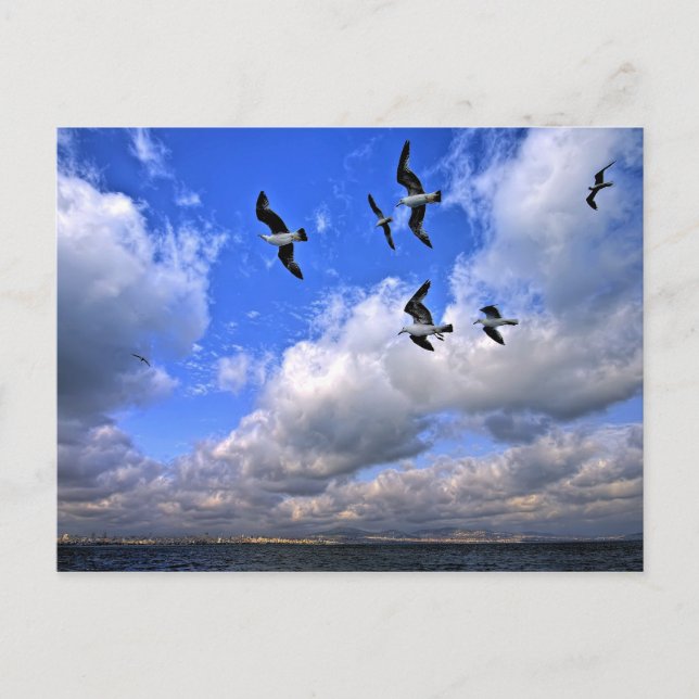 Postal La Libertad Volando Arrojó Nuestras Alas (Anverso)