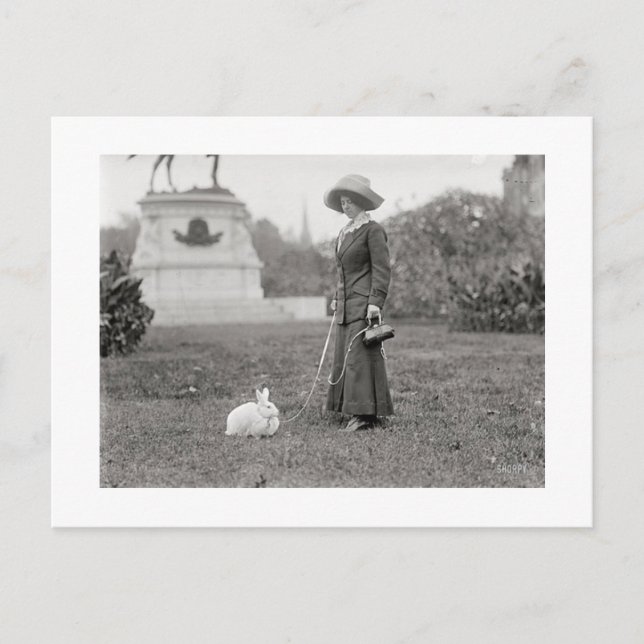 Postal La loca dama conejita (Anverso)