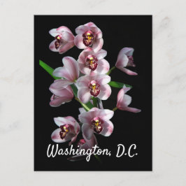 Postal La locura de los orquídeos en negro, Washington, D