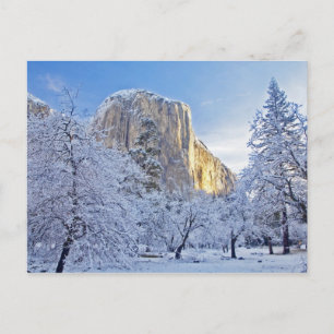 Postal La luz del amanecer golpea El Capitan a través de