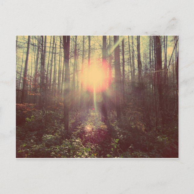 Postal La luz del cielo (Anverso)