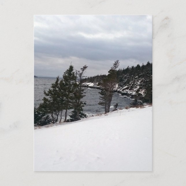 Postal La luz del corazón (Anverso)