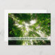 Postal La luz del sol fluye a través de árboles en el bos (Anverso / Reverso)