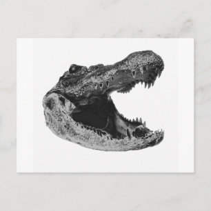 Postal LA MAKe DE LOS GATORIOS