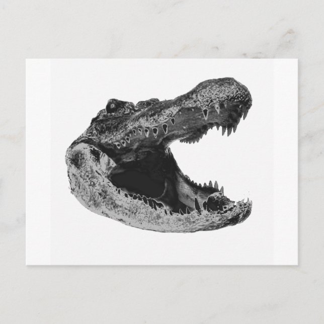 Postal LA MAKe DE LOS GATORIOS (Anverso)