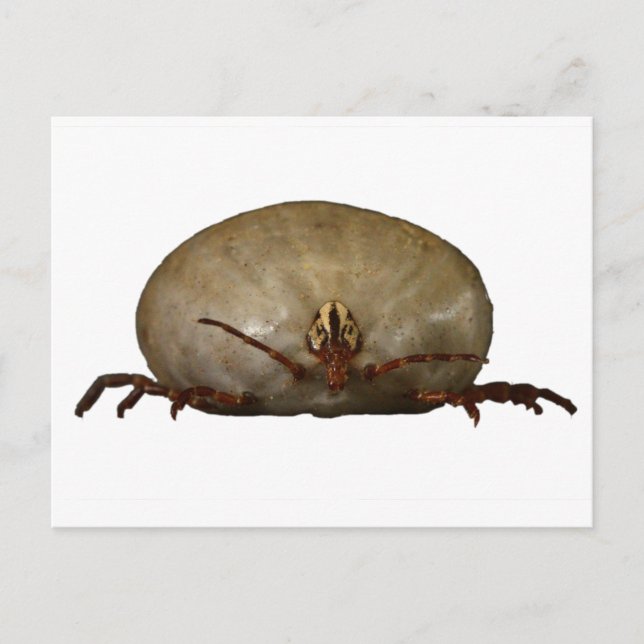 Postal La marea (Anverso)