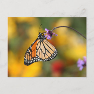 Postal La mariposa monarca se detiene para el polen
