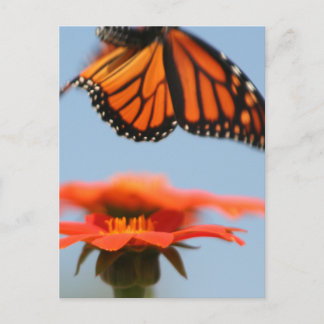 Postal La mariposa monarca toma vuelo