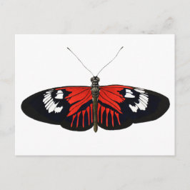 Postal La mariposa roja del Postman
