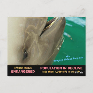 Postal La marsopa sin aleta de Yangtze está en peligro de