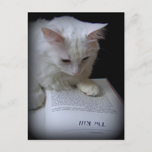 Postal La matanza (Anverso)