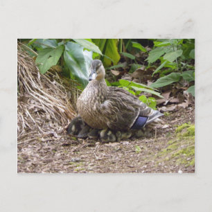 Postal La mejor madre del mundo