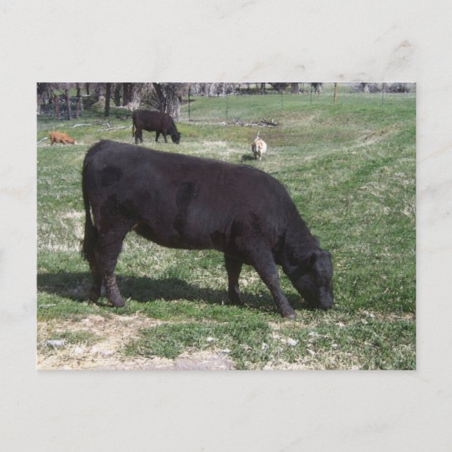 Postal La moda en mayo (Anverso)