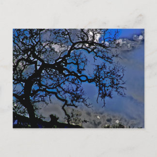 Postal La Naturaleza Es Antigua