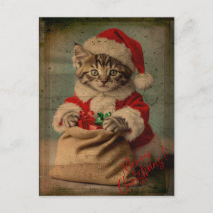 Postal La Navidad del Gatito Dashing 'Yuletide Yawn'