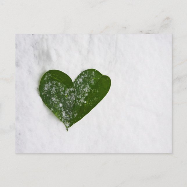 Postal La nieve de invierno de la naturaleza, el romántic (Anverso)