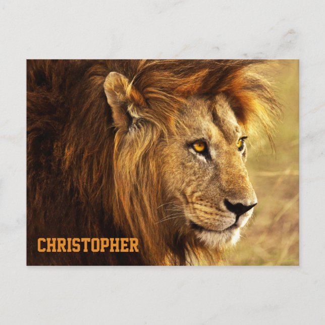 Postal La Noble Fotografía de León (Anverso)