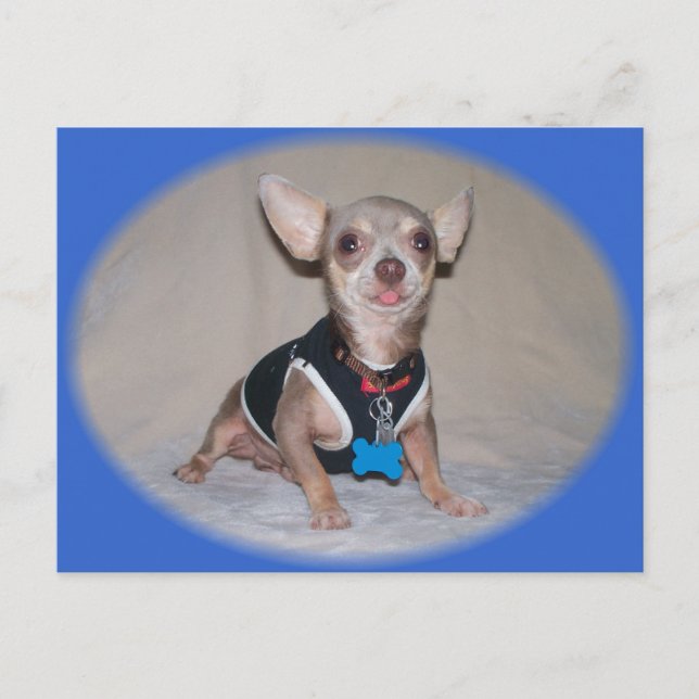 Postal La opinión de frambuesa (Anverso)