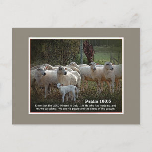 Postal La oveja de su Pasturería