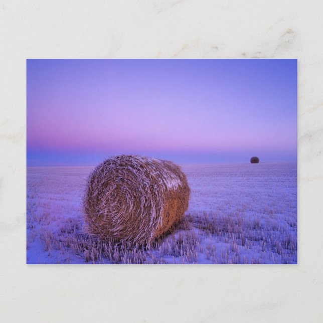 Postal La paja del invierno embala cerca del norte del (Anverso)