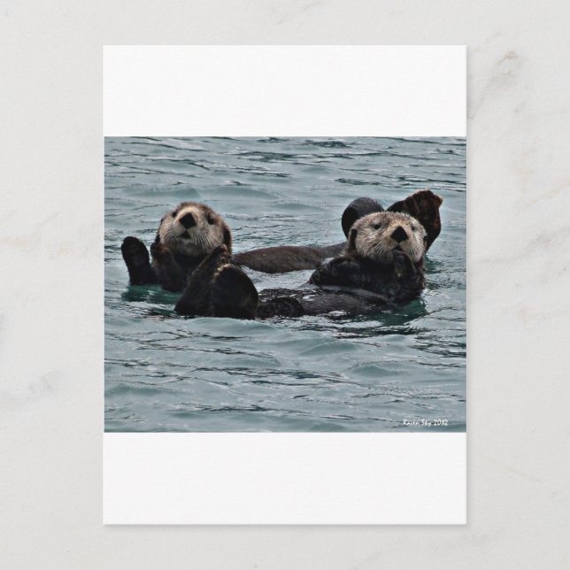 Postal La pareja de nutrias (Anverso)