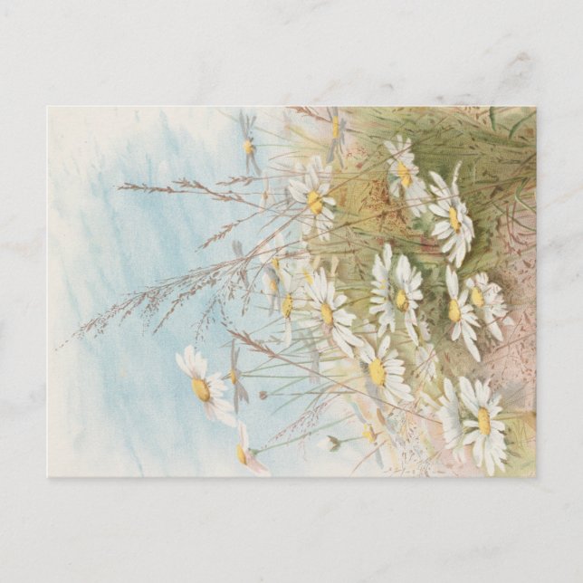 Postal "La Pascua trae la primavera floreciendo"  (Anverso)