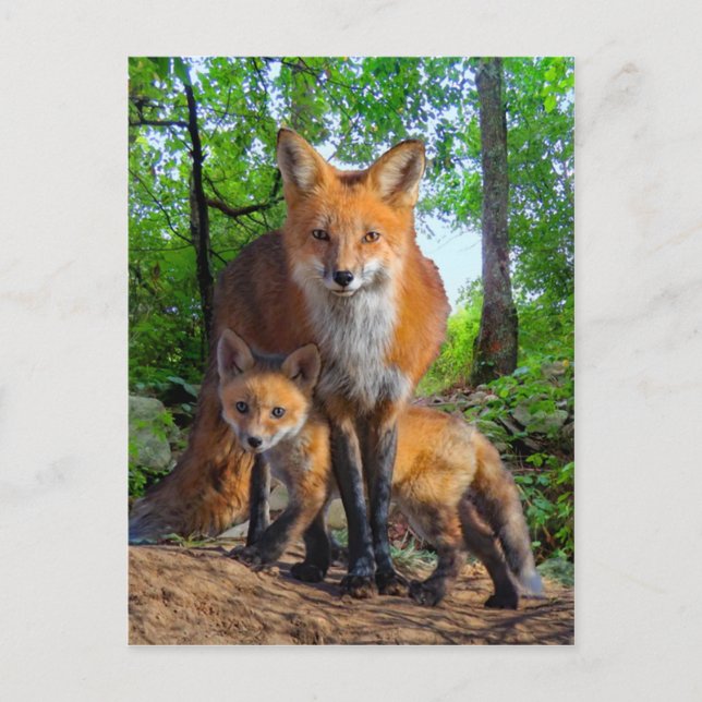 Postal "La pequeña madre" (Anverso)