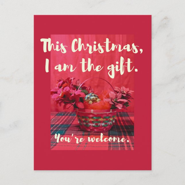 Postal La pequeña pequeña Sulcata Tortoise en la cesta de (Anverso)