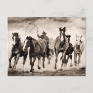 Postal La persecución