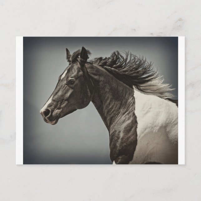 Postal La pintura (Anverso)