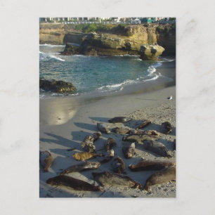Postal La playa de La Jolla Cove Waves Sand Sand