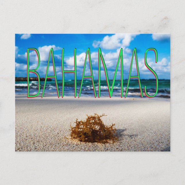 Postal La playa de Las Bahamas (Anverso)