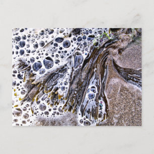 POSTAL LA PLAYA, LAS ALGAS, EL AGUA Y LA ARENA