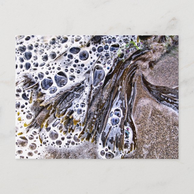 POSTAL LA PLAYA, LAS ALGAS, EL AGUA Y LA ARENA (Anverso)