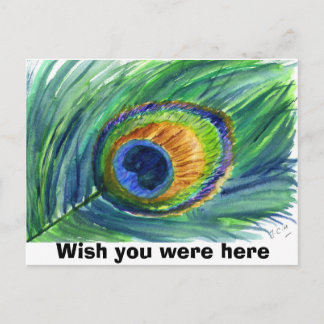 Postal la pluma del pavo real, desea que usted estuviera