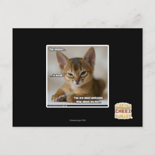 Postal La pluma está muerta.