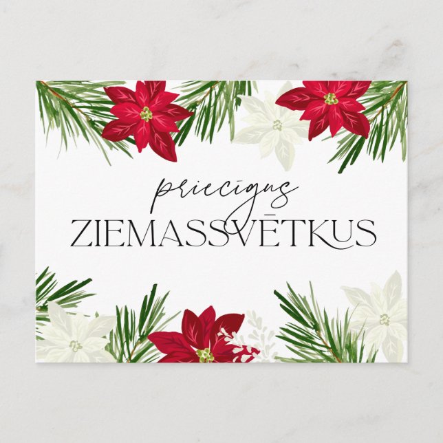 Postal La poinsettia roja de Letonia Ziemassvetki (Anverso)