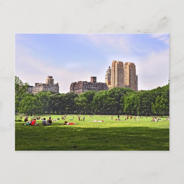 Postal La pradera de ovejas de Central Park (Anverso)