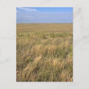 Postal La pradera de pastizales al este de Sidney, Nebras
