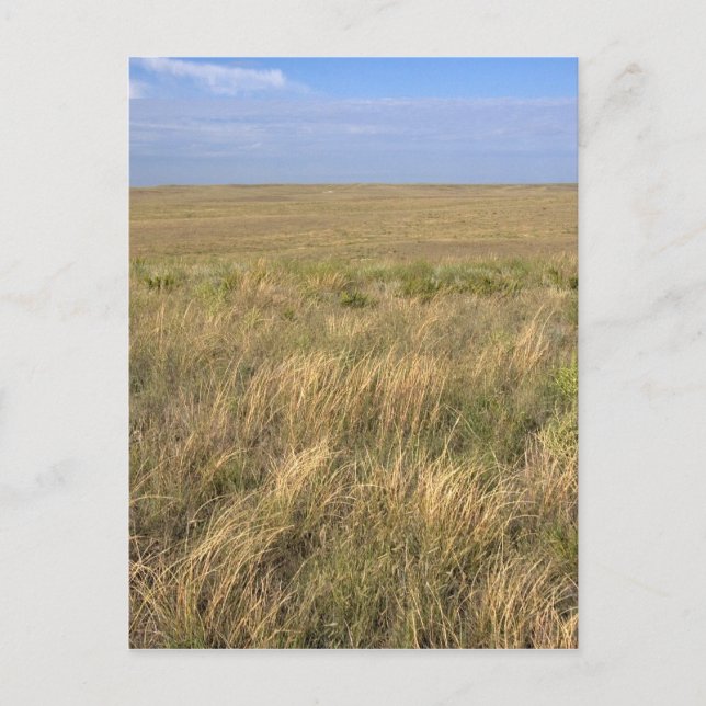 Postal La pradera de pastizales al este de Sidney, Nebras (Anverso)