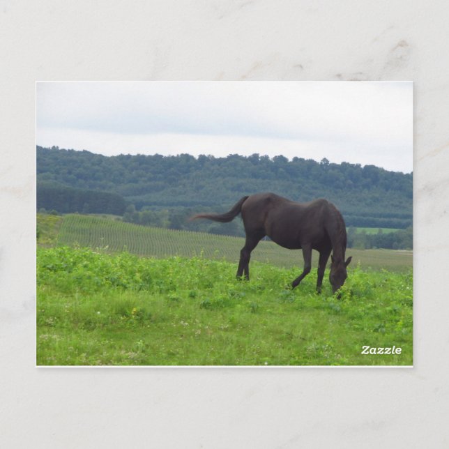 Postal La pradera del amor (Reverso)