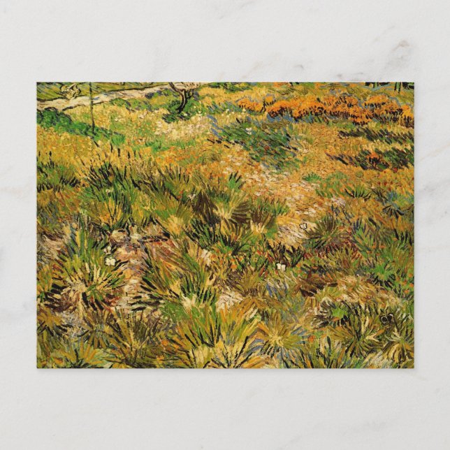 Postal La pradera en el hospital de Saint Paul por Vincen (Anverso)