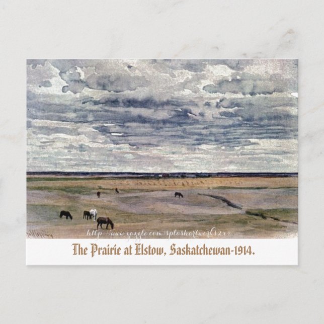 Postal "La pradera en Elstow, Saskatchewan-1914" (Anverso)
