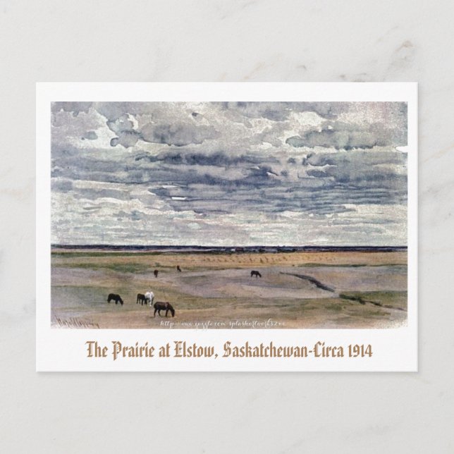 Postal "La pradera en Elstow, Saskatchewan-1914" (Anverso)