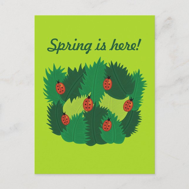 Postal La Primavera De Las Hojas Verdes Y Los Bugs De Lad (Anverso)