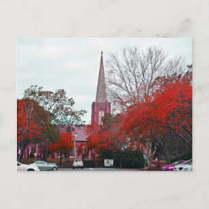 Postal La primavera en el campo