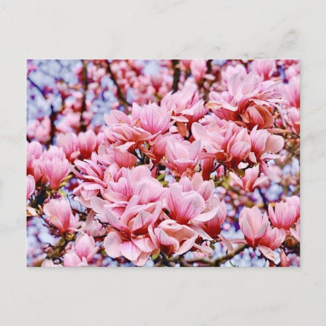Postal La primavera está aquí (Anverso)